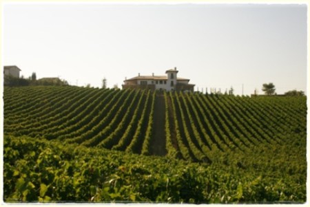 Quintodecimo, foto A. Di Costanzo