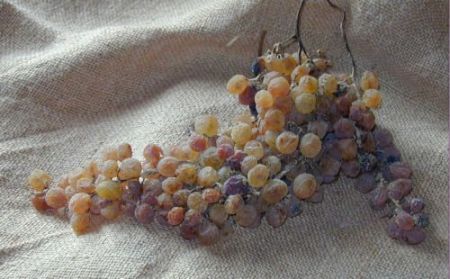 Falanghina passita - La Sibilla