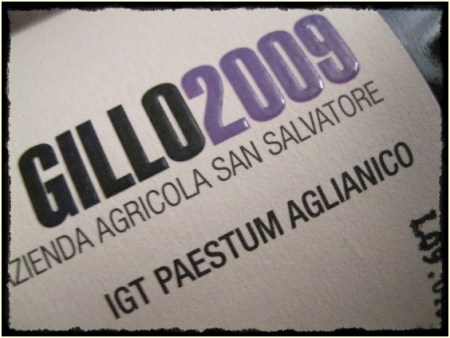 Paestum Aglianico Gillo 2009 Az. Agr. San Salvatore - foto A. Di Costanzo