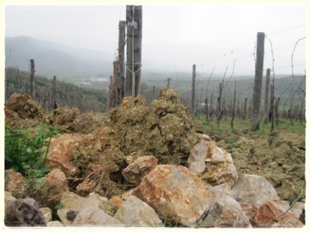 Giungano, San Salvatore - foto A. Di Costanzo