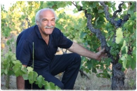 Dario Cavallo i una delle sue vigne - foto Archivio