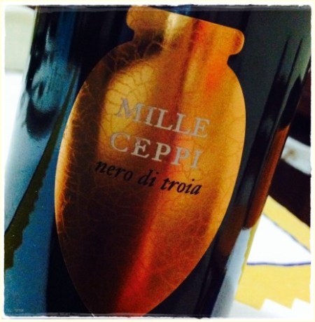 Mille Ceppi 2011- foto L'Arcante