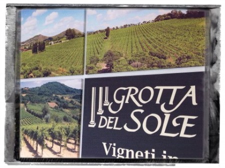 Foglie di Amaltea, loc. Scalandrone - foto L'Arcante courtesy Grotta del Sole