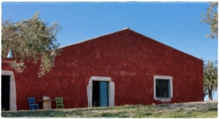 Tenuta Buonivini Planeta - foto Planeta.it