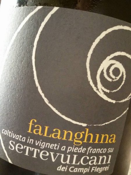 Settevulcani Falanghina dei Campi Flegrei 2015 Salvatore Martusciello - foto L'Arcante