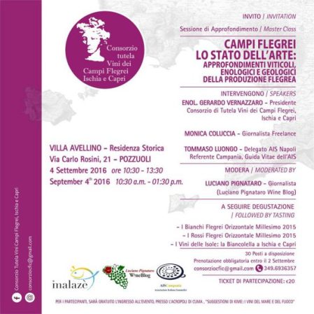 Locandina campi Flegrei