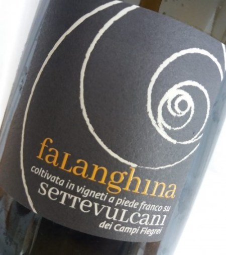 Falanghina Campi Flegrei Settevulcani 2017 Salvatore Martusciello - foto L'Arcante