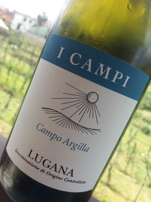 Lugana Campo Argilla 2017 I Campi - foto A. Di Costanzo