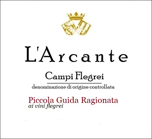 Piccola Guida Ragionata ai vini dei Campi Flegrei